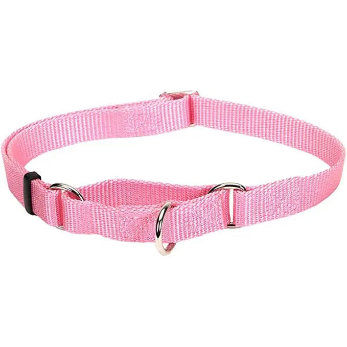 No! Slip® Martingale Adjustable Dog Collar Coastal Pet