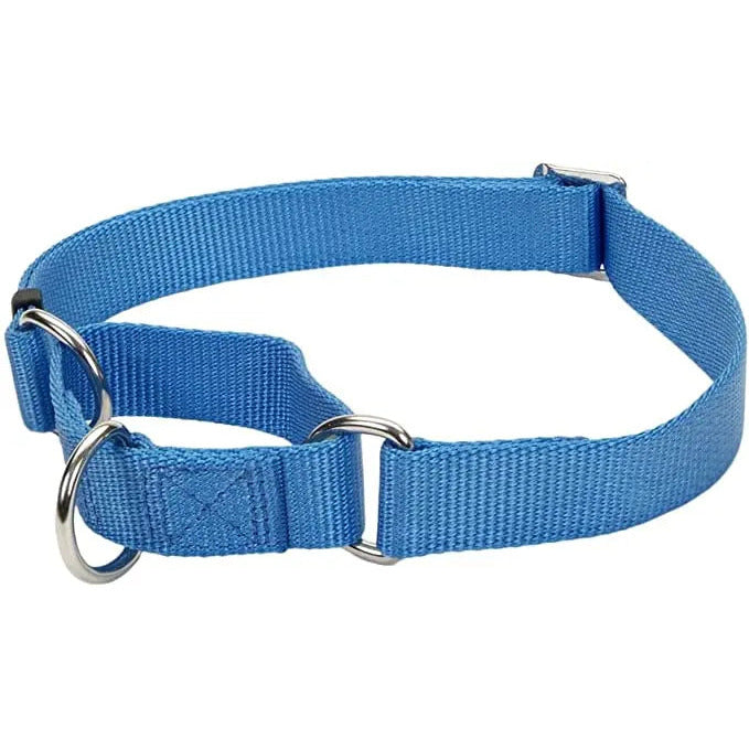 No! Slip® Martingale Adjustable Dog Collar Coastal Pet