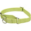 No! Slip® Martingale Adjustable Dog Collar Coastal Pet