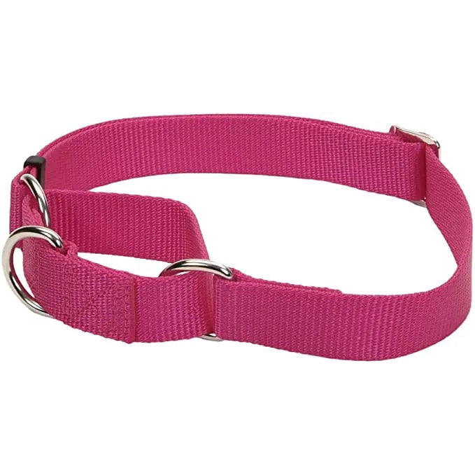 No! Slip® Martingale Adjustable Dog Collar Coastal Pet