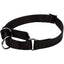 No! Slip® Martingale Adjustable Dog Collar Coastal Pet