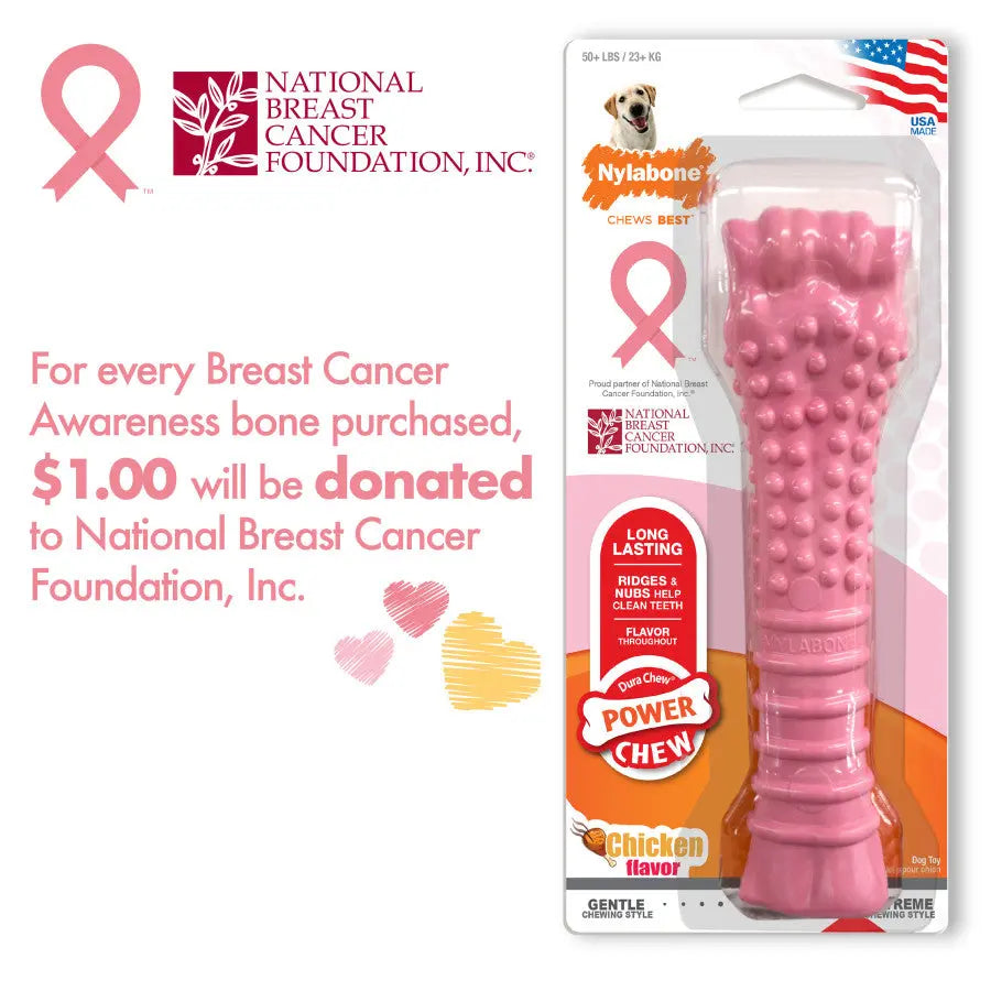 Nylabone Breast Cancer Awareness Chicken Dog Power Chew Toy Nylabone