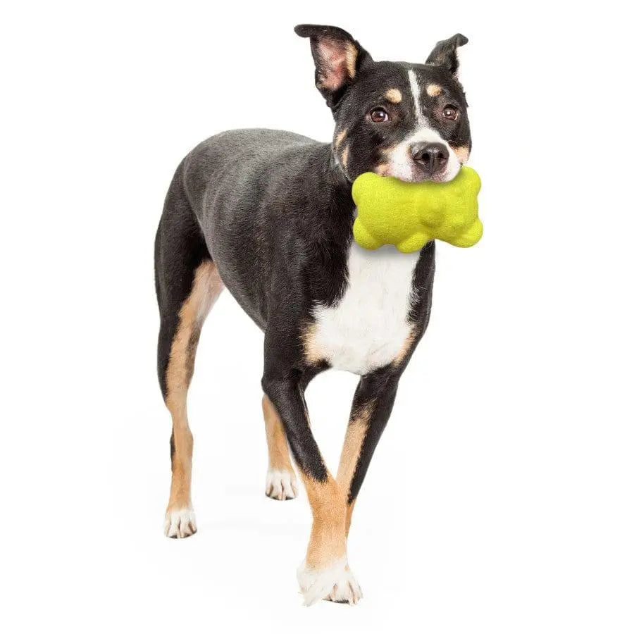 Nylabone Power Play Tennis Teddy Gripz Bear Dog Toy Teddy Nylabone