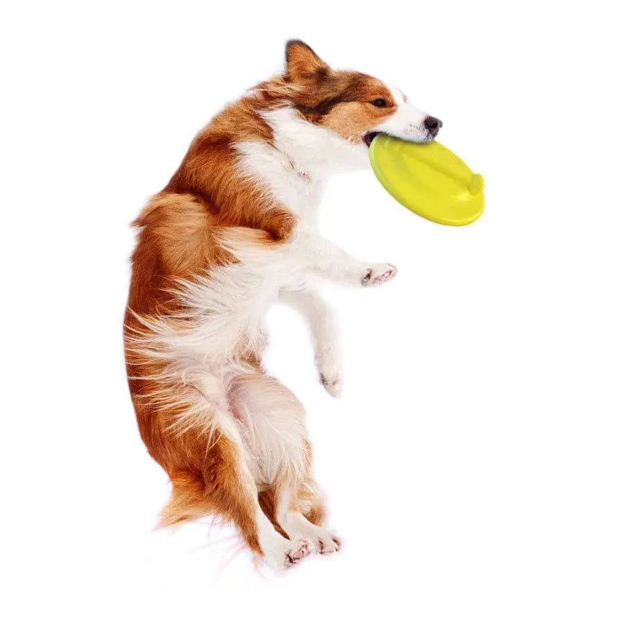 Nylabone Power Play Ultra Glider Gripz Dog Flying Disc Ultra Glider Nylabone