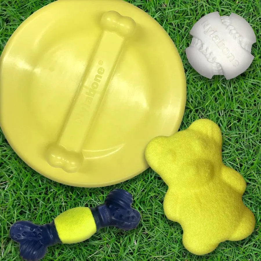 Nylabone Power Play Ultra Glider Gripz Dog Flying Disc Ultra Glider Nylabone