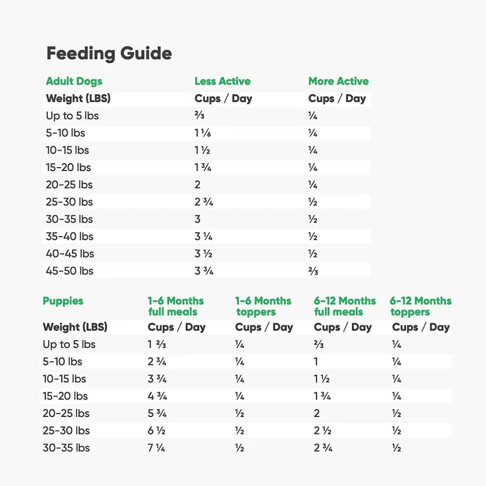 Open Farm® Grass-Fed Beef Freeze Dried Raw Dog Food Open Farm