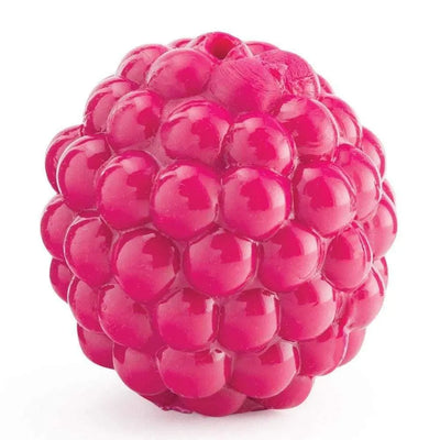 Outward Hound® Orbee-Tuff Raspberry Dog Toys Pink Color 1.75 Inch Diameter Outward Hound®