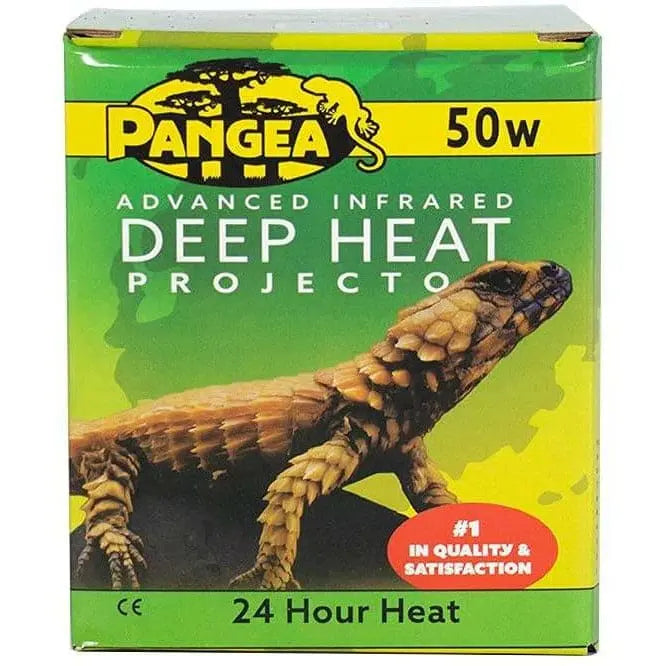 Pangea Deep Heat Projector for Reptiles Pangea