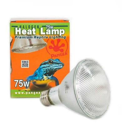 Pangea Halogen Heat Lamp Pangea