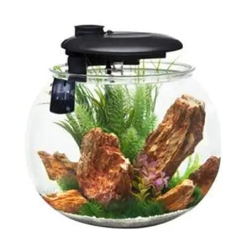 Penn-Plax AquaSphere Aquarium for Freshwater and Saltwater Filtration System and LED Light Display Penn-Plax Aqua