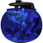 Penn-Plax AquaSphere Aquarium for Freshwater and Saltwater Filtration System and LED Light Display Penn-Plax Aqua