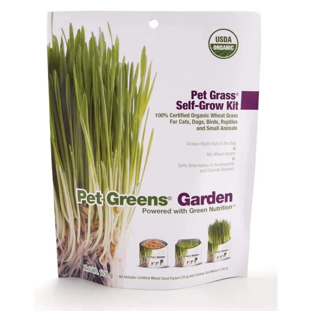 Pet Greens Garden Pet Grass 1ea/3 oz Pet Greens CPD