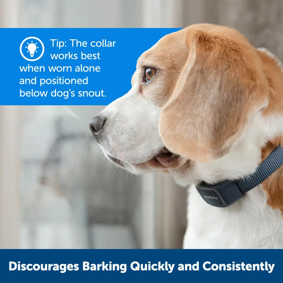 PetSafe Audible Bark Collar w/Soundburst Technology Talis Us