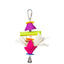 Prevue Pet Products Bird Toys for Parrots Parakeets, Conures, Love Birds,  Cockatiels, Finches Prevue Pet