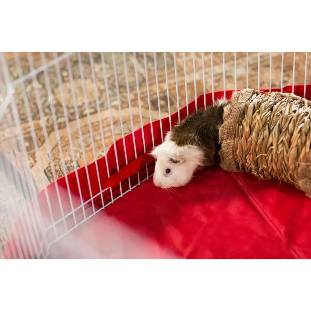 Prevue Pet Products Pet Playpen Ferret, Rabbit Prevue Pet