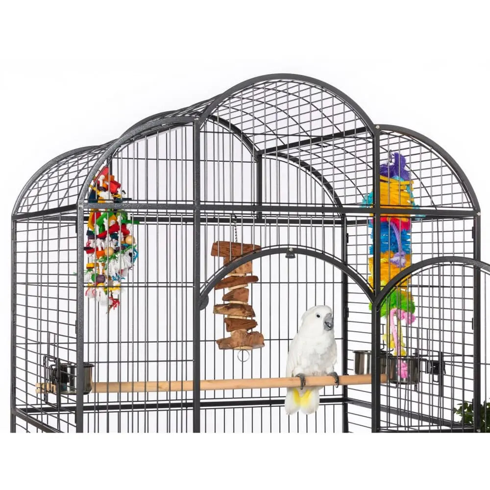 Prevue Pet Products Silverado Macaw Dome Top Bird Cage Iron Talis Us