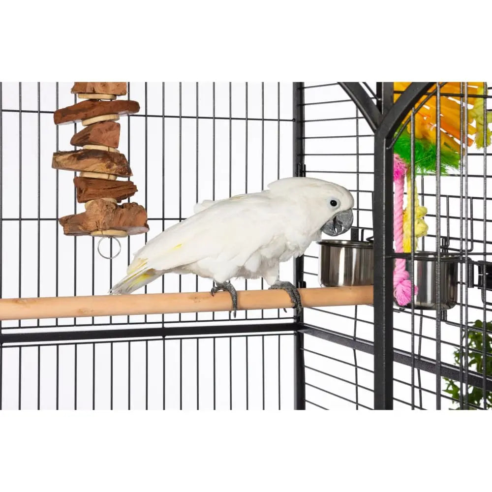 Prevue Pet Products Silverado Macaw Dome Top Bird Cage Iron Talis Us