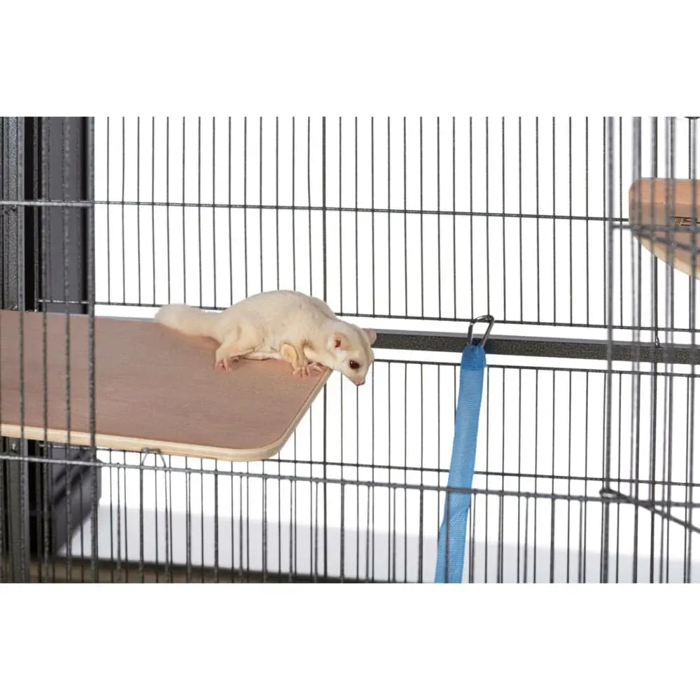 Prevue Pet Products Small Bird Wrought Iron Flight Bird Cage F041 Prevue Pet