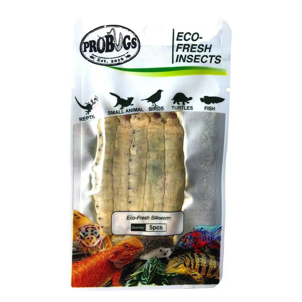 Pro Bugs Eco-Fresh Silkworm for Goldfish, Salamanders, Snakes, Sugar Gliders Food Pro Bugs