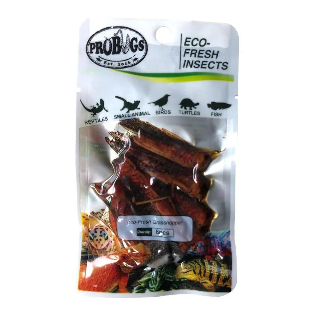 Pro Bugs Eco-Fresh for Larger Cichlids, Amphibians, Hedgehogs, Parrots food Pro Bugs