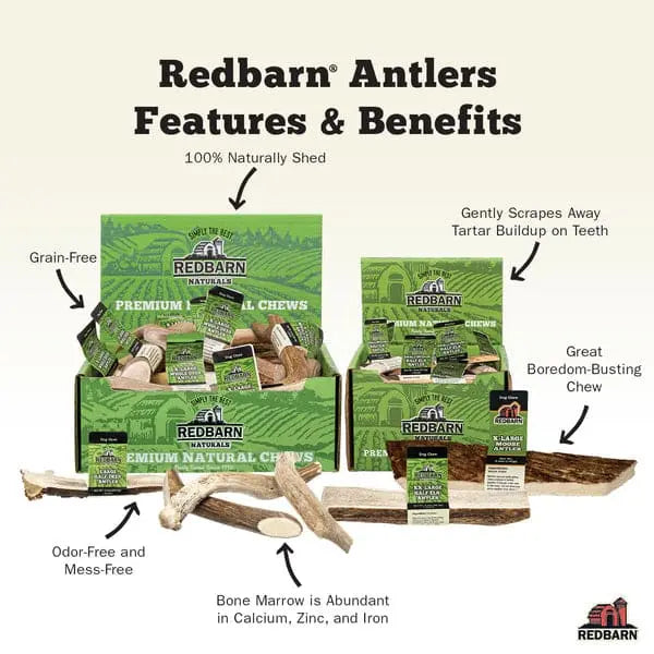 Redbarn Pet Products Natural Deer Whole Antler Dog Treat Redbarn