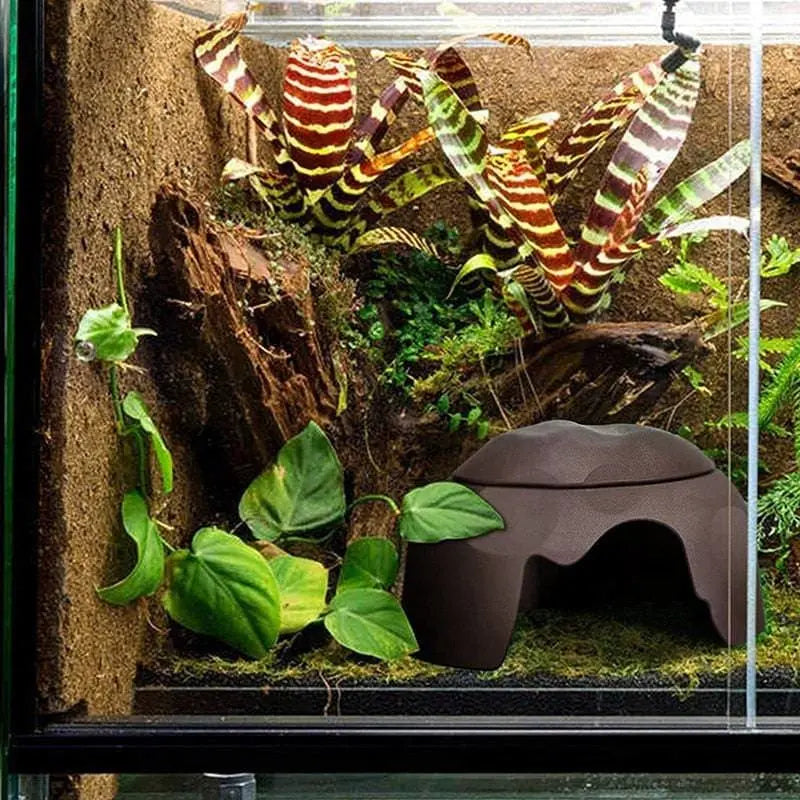 Reptile Hides Humidification Cave Damp Hideout, Suitable For Lizards Leopard Gecko Talis Us