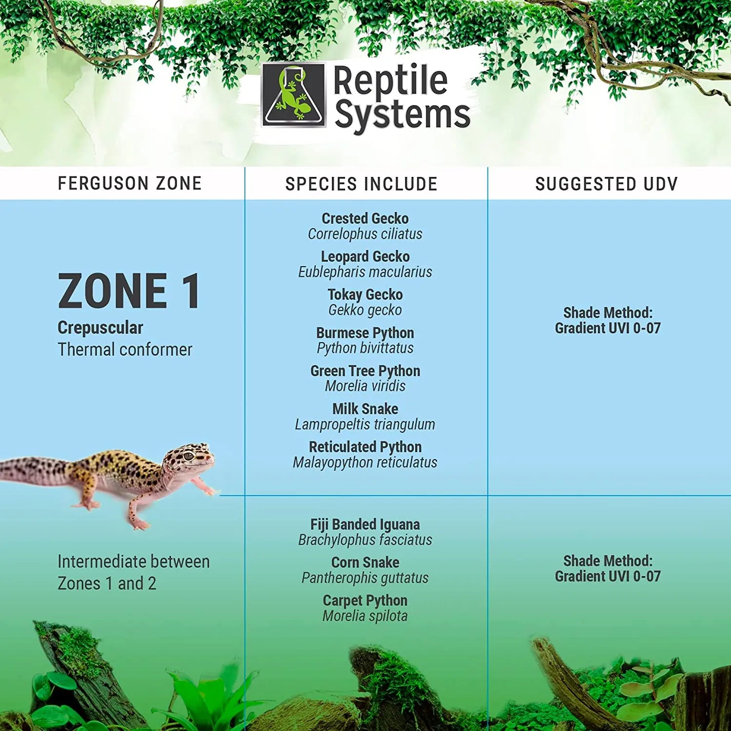 Reptile Systems Full Spectrum UVA & UVB Amphibian & Reptile Lighting T5 Light Fixture Zone 1 Lamp 2.4% Reptile Systems