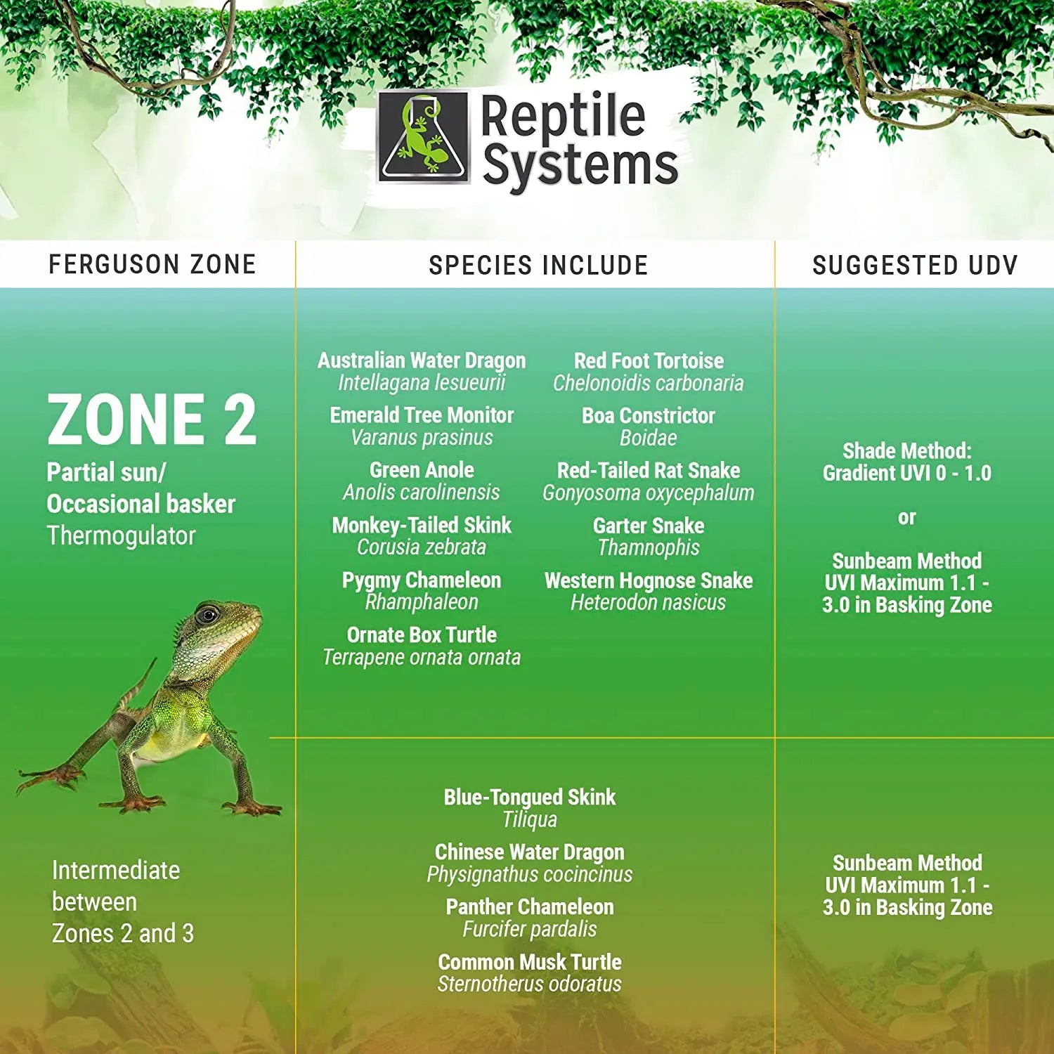 Reptile Systems Full Spectrum UVA & UVB Amphibian & Reptile Lighting T5 Light Fixture Zone 2 Lamp 6% Reptile Systems