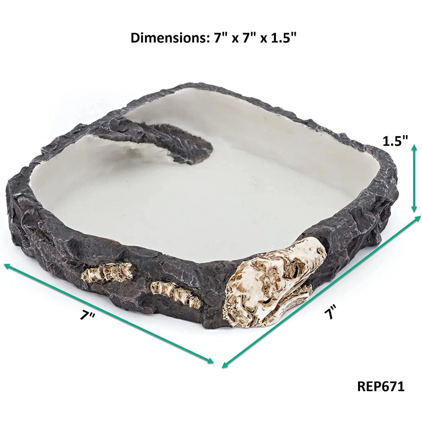 Reptology Reptile Fossil Rock Food/Water Dish Reptology