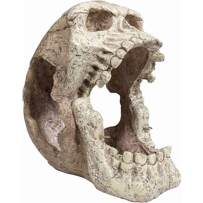 Reptology Skull Hide-Away Habitat Décor Reptology