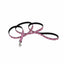 Ribbon Nylon Dog Leash Ribbon CPD