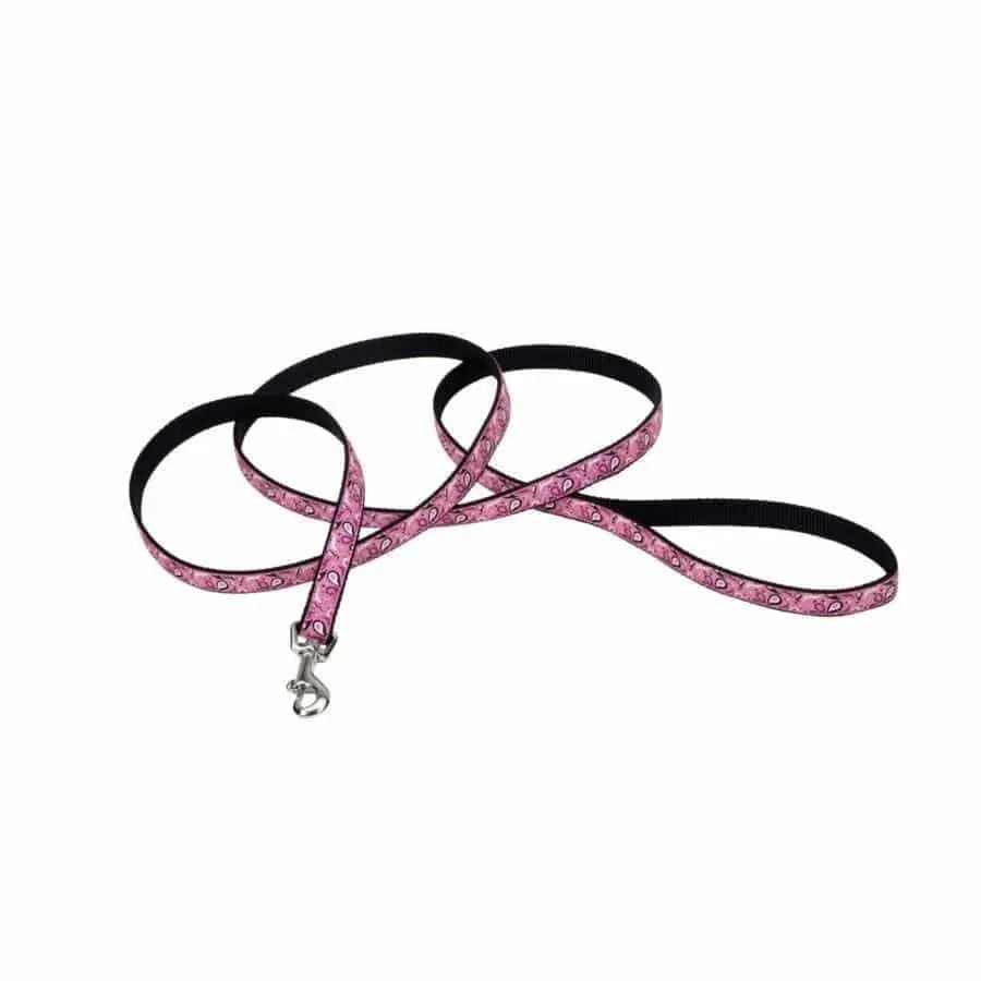 Ribbon Nylon Dog Leash Ribbon CPD