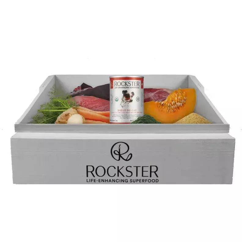 Rockster Boef Du Cap Beef Organic Wet Dog Food Rockster