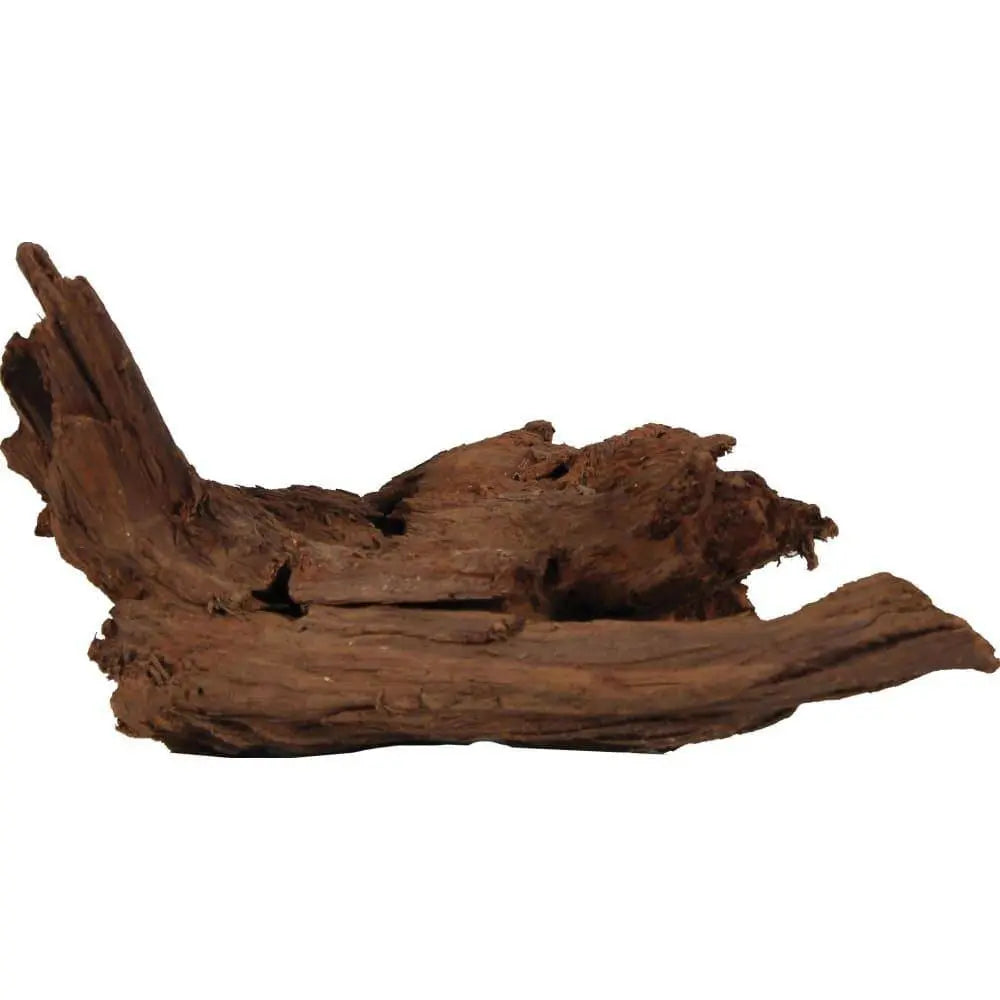 Sea Sculptures Natural Malaysian Driftwood Blue Ribbon Pet