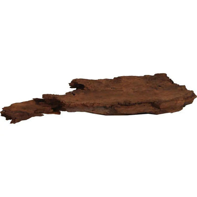 Sea Sculptures Natural Malaysian Driftwood Blue Ribbon Pet