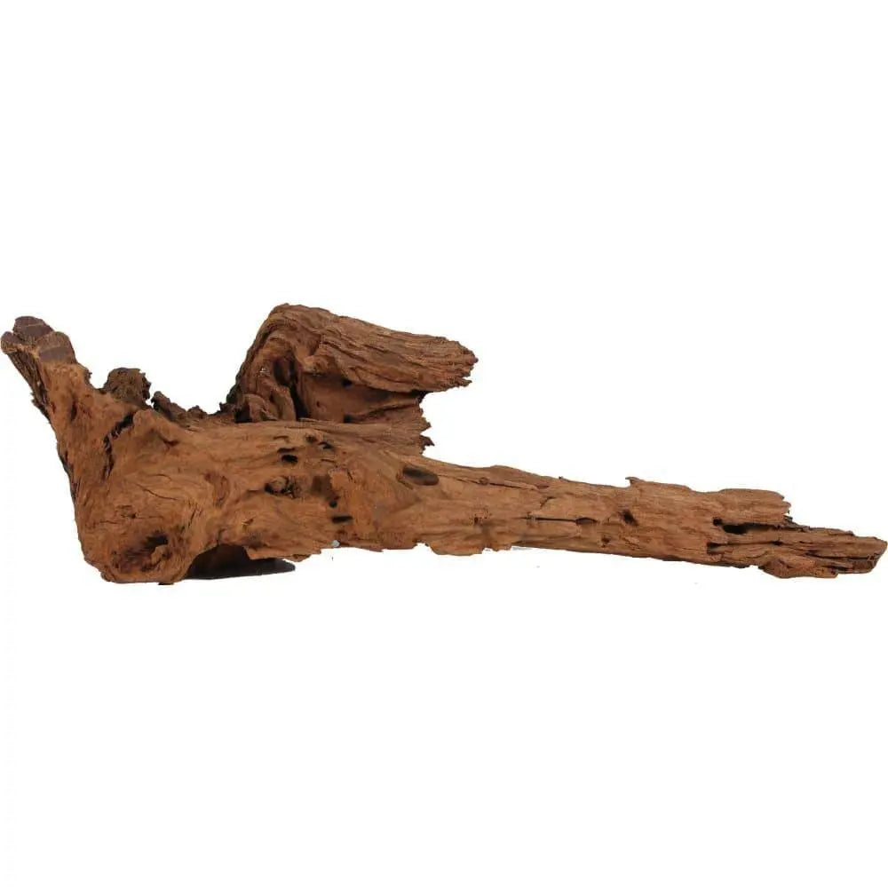 Sea Sculptures Natural Malaysian Driftwood Blue Ribbon Pet