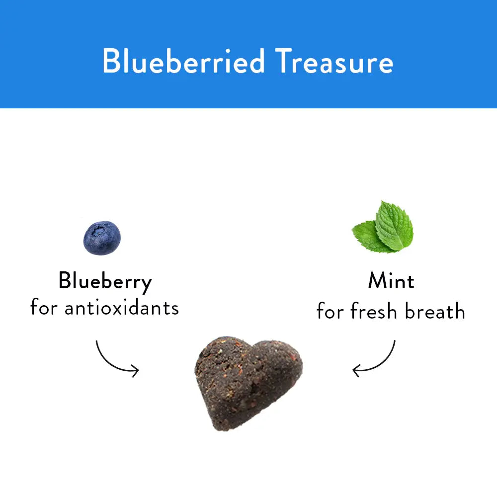 Shameless Pets Blueberried Treasure Soft Baked Dog Treats Shameless Pets