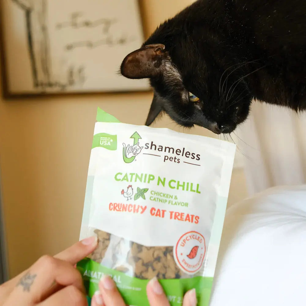 Shameless Pets Catnip N Chill Crunchy Cat Treats Shameless Pets