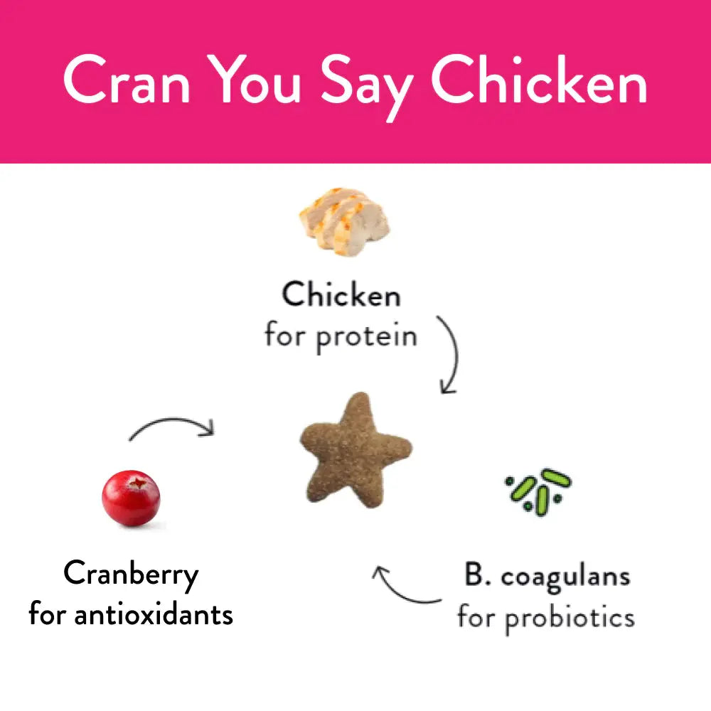 Shameless Pets Cran U Say Chicken Crunchy Cat Treats Shameless Pets