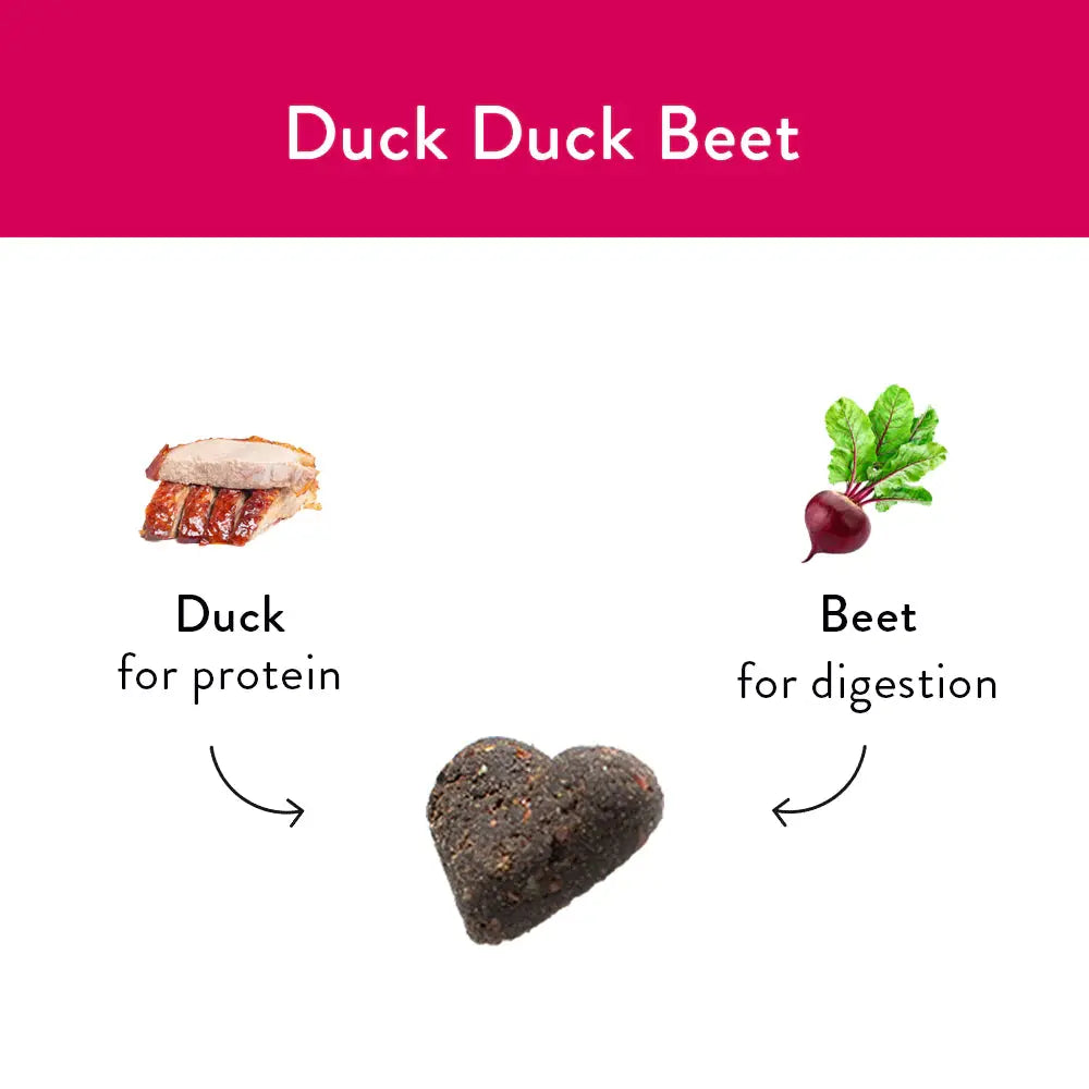 Shameless Pets Duck Duck Beet Soft Baked Dog Treats Shameless Pets