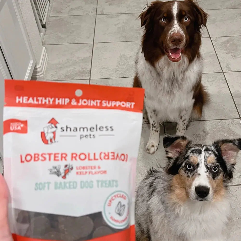 Shameless Pets Lobster Rollover Soft Baked Dog Treats Shameless Pets