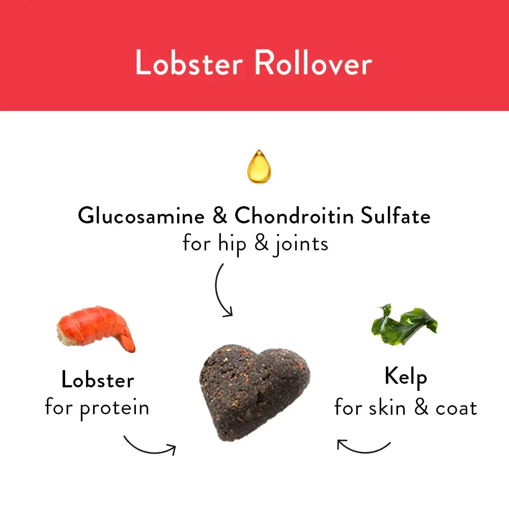 Shameless Pets Lobster Rollover Soft Baked Dog Treats Shameless Pets