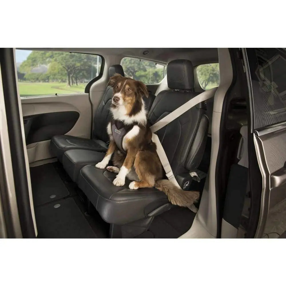 Sherpa's Pet Trading Company Crash Tested Seatbelt Safety Dog Harness Black Sherpa's Pet Trading Company CPD