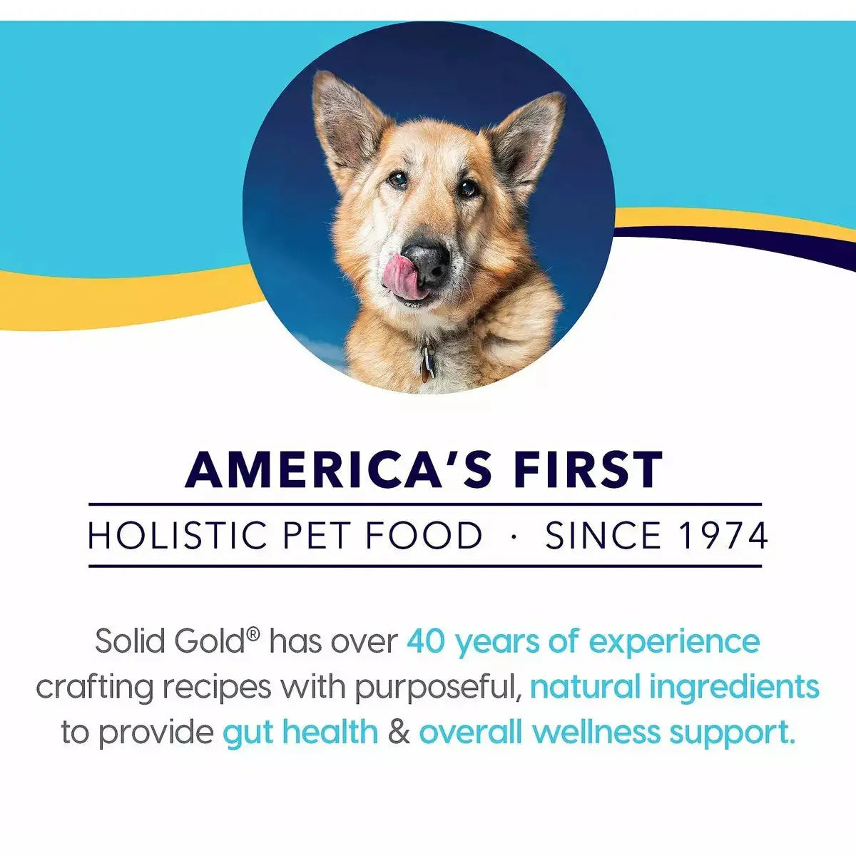 Solid Gold® Fit and Fabulous Potato Free Fresh Caught Alaskan Pollock Weight Control Dog Food Solid Gold