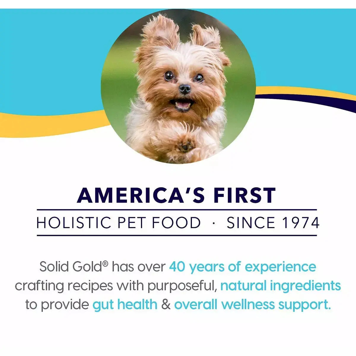 Solid Gold® Mighty Mini Grain Free Beef, Sweet Potato & Apple Recipe Toy & Small Breed Dog Food Solid Gold