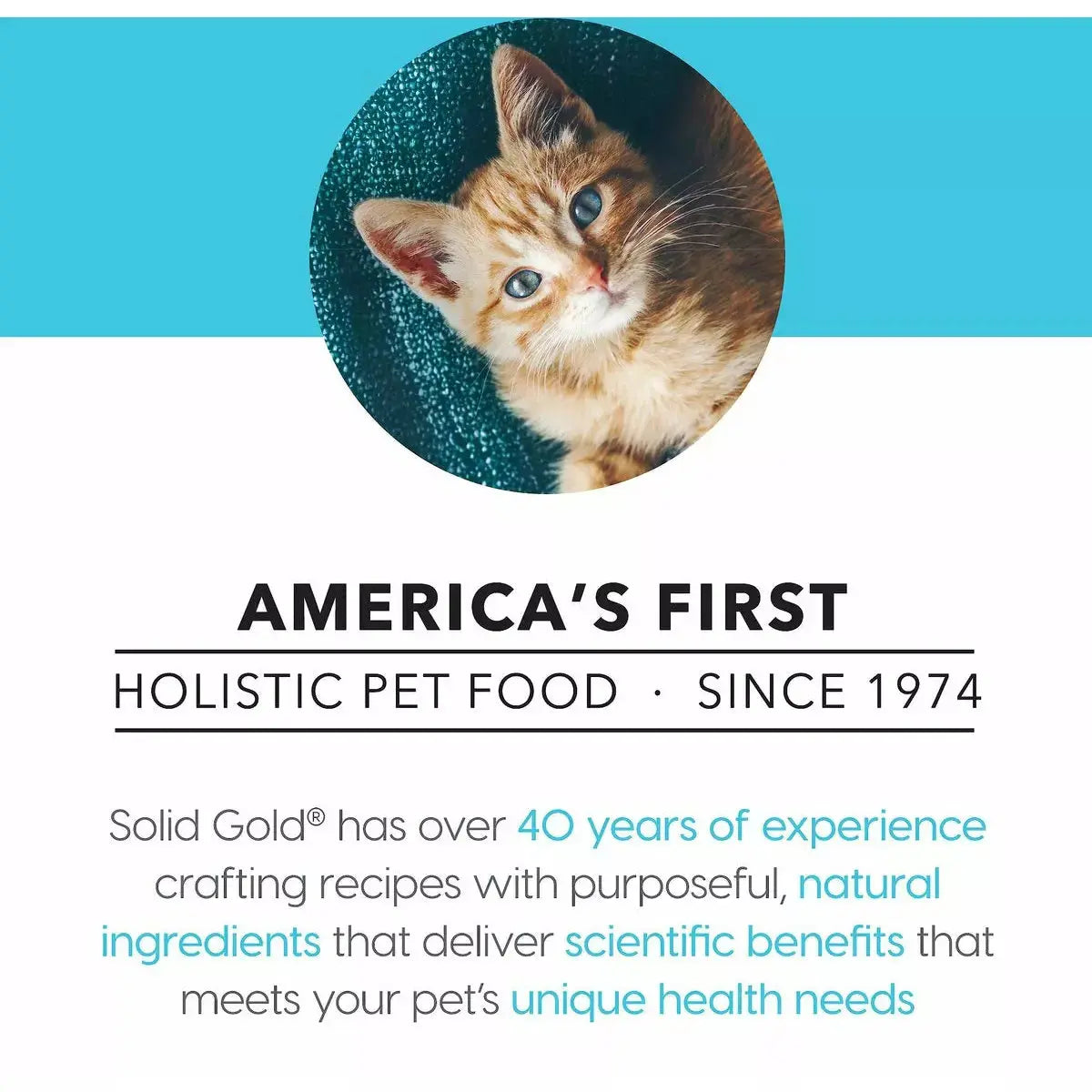 Solid Gold® Tropical Blendz Grain Free Chicken & Coconut Oil Pate Cat Food Solid Gold