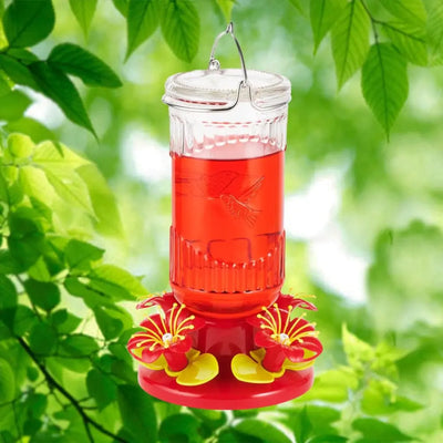 Stargazer Glass 26 oz. Hummingbird Feeder North States Industries