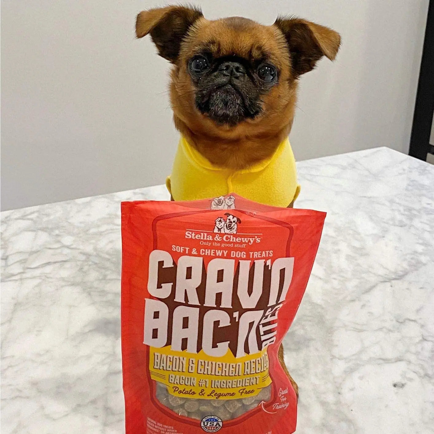 Stella & Chewys Dog Crav'N Bacon Bites Beef 8.25Oz Stella & Chewy's