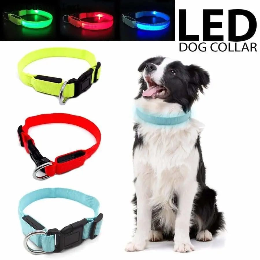 Talis LED Light-Up Dog Collar (Battery-Operated ) Talis Us