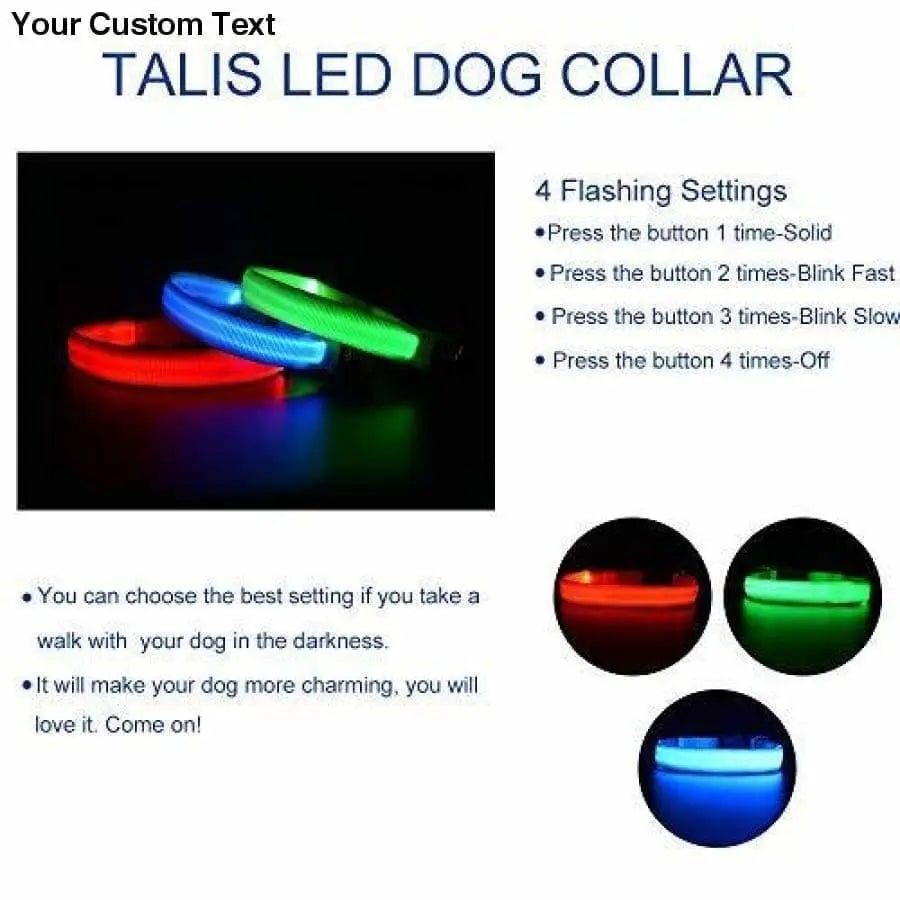 Talis LED Light-Up Dog Collar (Battery-Operated ) Talis Us